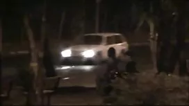 گربه جوان در عکس سوپ ...