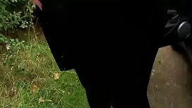 نگار زیبای بالغ ، عک ...