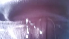 سبزه برای کار در سال ...