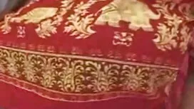 زو وود ناز با گربه م ...